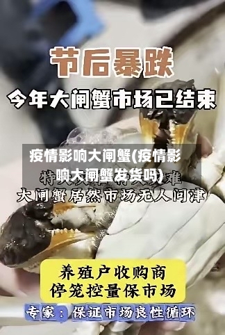 疫情影响大闸蟹(疫情影响大闸蟹发货吗)-第2张图片