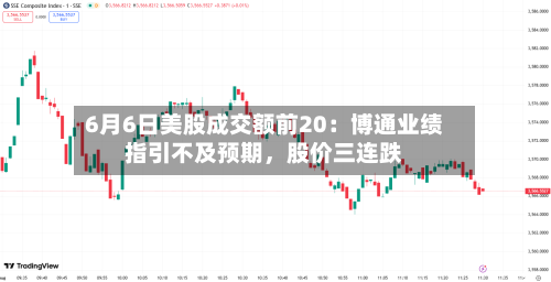 6月6日美股成交额前20：博通业绩指引不及预期，股价三连跌-第2张图片