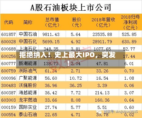 拒绝纳入！史上最大IPO，突发！-第2张图片