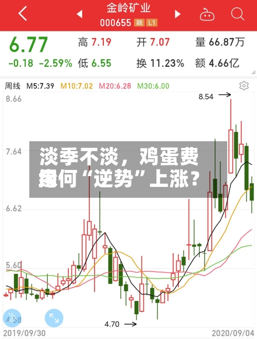 淡季不淡，鸡蛋费用缘何“逆势	”上涨？-第2张图片