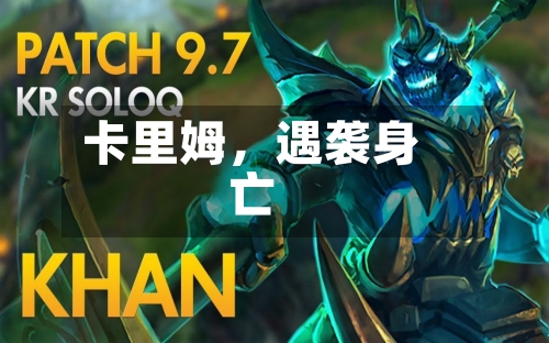 卡里姆，遇袭身亡