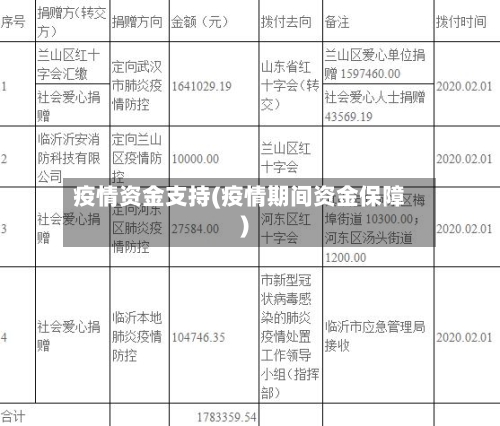 疫情资金支持(疫情期间资金保障)