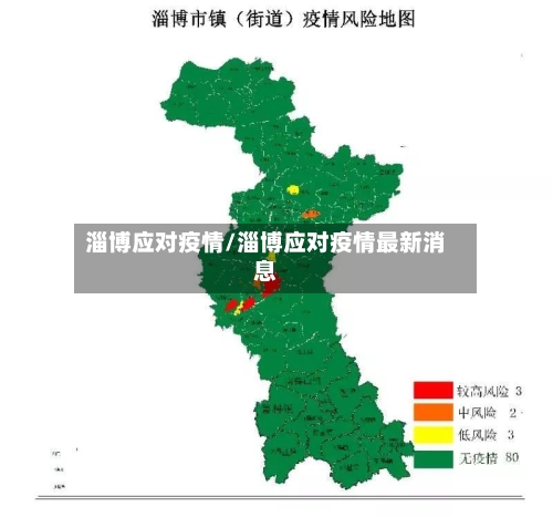 淄博应对疫情/淄博应对疫情最新消息