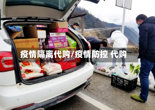 疫情隔离代购/疫情防控 代购-第2张图片