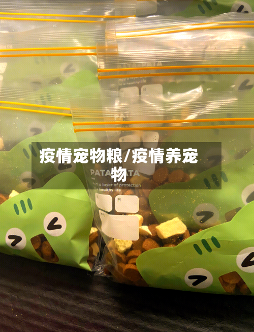 疫情宠物粮/疫情养宠物-第3张图片