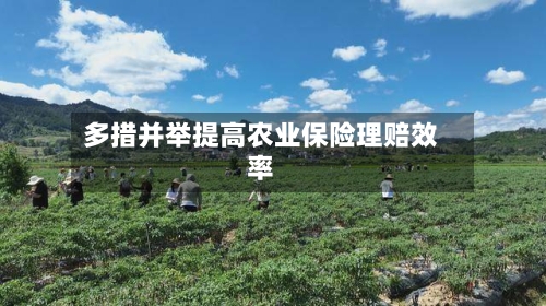 多措并举提高农业保险理赔效率-第3张图片