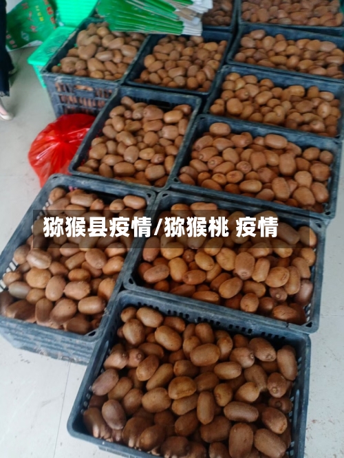 猕猴县疫情/猕猴桃 疫情