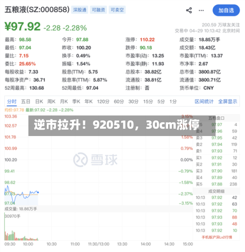 逆市拉升！920510，30cm涨停-第2张图片