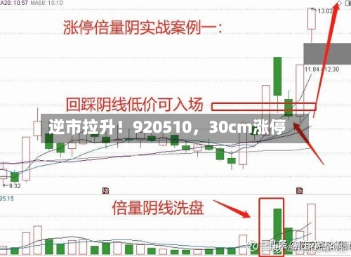 逆市拉升！920510，30cm涨停-第3张图片