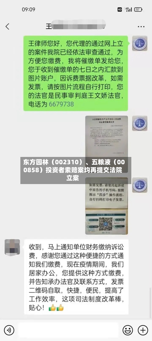 东方园林（002310）	、五粮液（000858）投资者索赔案均再提交法院立案-第2张图片