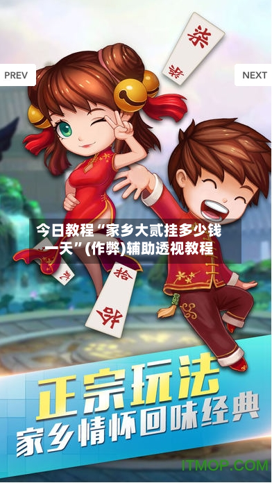 今日教程“家乡大贰挂多少钱一天”(作弊)辅助透视教程-第3张图片