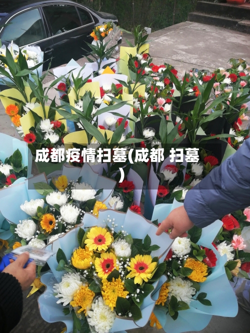 成都疫情扫墓(成都 扫墓)-第3张图片
