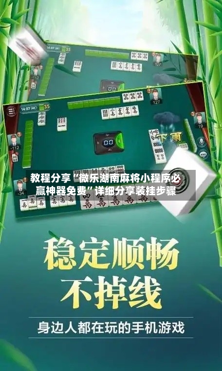 教程分享“微乐湖南麻将小程序必赢神器免费	”详细分享装挂步骤-第2张图片
