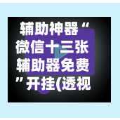 辅助神器“微信十三张辅助器免费”开挂(透视)最新辅助详细-第2张图片