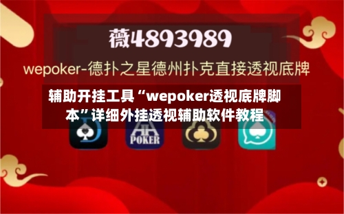 辅助开挂工具“wepoker透视底牌脚本	”详细外挂透视辅助软件教程-第2张图片