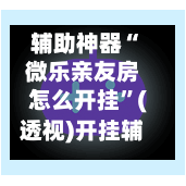 辅助神器“微乐亲友房怎么开挂”(透视)开挂辅助脚本+详细开挂安装教程-第3张图片