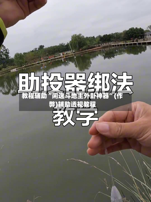 教程辅助“闲逸斗地主外卦神器”(作弊)辅助透视教程-第3张图片