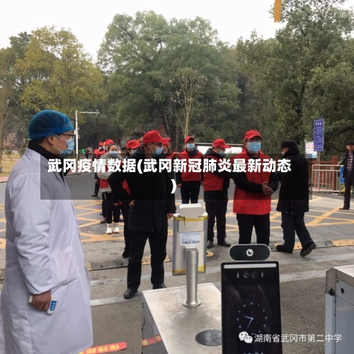 武冈疫情数据(武冈新冠肺炎最新动态)