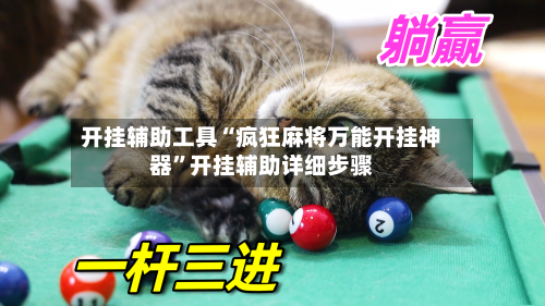 开挂辅助工具“疯狂麻将万能开挂神器”开挂辅助详细步骤-第2张图片