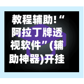 教程辅助!“阿拉丁牌透视软件”(辅助神器)开挂详细教程