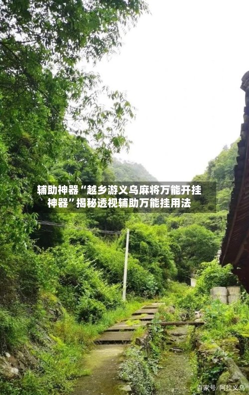 辅助神器“越乡游义乌麻将万能开挂神器	”揭秘透视辅助万能挂用法-第2张图片