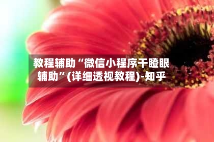 教程辅助“微信小程序干瞪眼辅助”(详细透视教程)-知乎-第2张图片