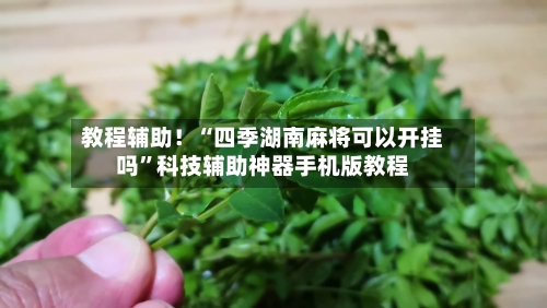 教程辅助！“四季湖南麻将可以开挂吗”科技辅助神器手机版教程-第2张图片