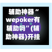 辅助神器“wepoker有辅助吗”(辅助神器)开挂详细教程-第2张图片