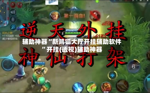 辅助神器“新鸿狐大厅开挂辅助软件”开挂(透视)辅助神器-第3张图片