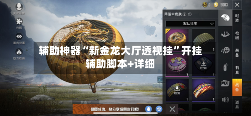 辅助神器“新金龙大厅透视挂	”开挂辅助脚本+详细-第3张图片