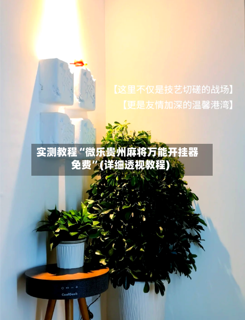 实测教程“微乐贵州麻将万能开挂器免费”(详细透视教程)-第2张图片
