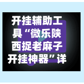 开挂辅助工具“微乐陕西捉老麻子开挂神器”详细分享装挂步骤教程-第3张图片