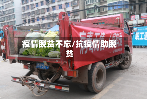 疫情脱贫不忘/抗疫情助脱贫