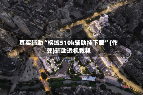 真实辅助“榕城510k辅助挂下载”(作弊)辅助透视教程-第2张图片