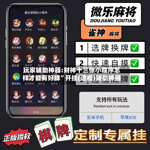 玩家辅助神器:财神十三张小程序怎样才能有好牌	”开挂(透视)辅助神器-第3张图片
