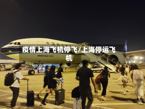 疫情上海飞机停飞/上海停运飞机-第2张图片