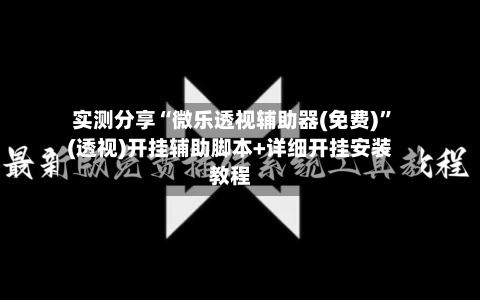 实测分享“微乐透视辅助器(免费)”(透视)开挂辅助脚本+详细开挂安装教程-第2张图片