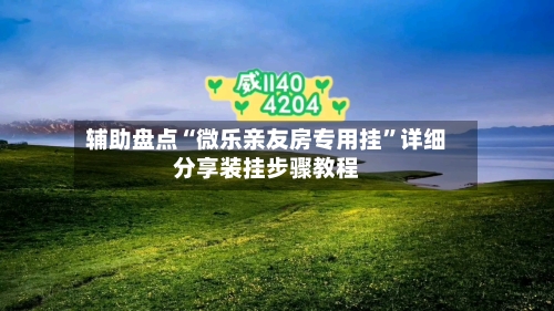 辅助盘点“微乐亲友房专用挂”详细分享装挂步骤教程