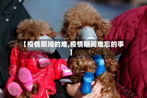 【疫情期间的难,疫情期间难忘的事】-第2张图片