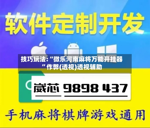 技巧玩法:“微乐河南麻将万能开挂器”作弊(透视)透视辅助-第3张图片