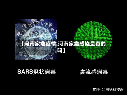 【河南家禽疫情,河南家禽感染是真的吗】