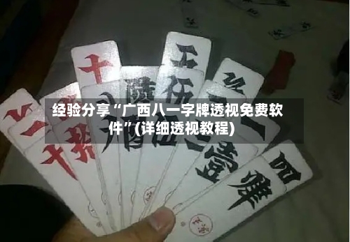 经验分享“广西八一字牌透视免费软件	”(详细透视教程)-第2张图片