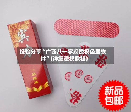 经验分享“广西八一字牌透视免费软件”(详细透视教程)-第3张图片