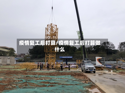 疫情复工后打算/疫情复工后打算做什么-第3张图片