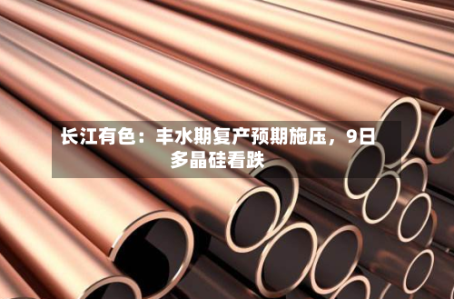 长江有色：丰水期复产预期施压	，9日多晶硅看跌-第2张图片