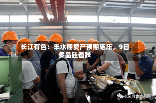 长江有色：丰水期复产预期施压，9日多晶硅看跌-第3张图片