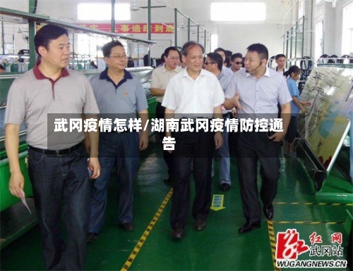 武冈疫情怎样/湖南武冈疫情防控通告