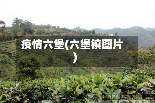 疫情六堡(六堡镇图片)-第3张图片
