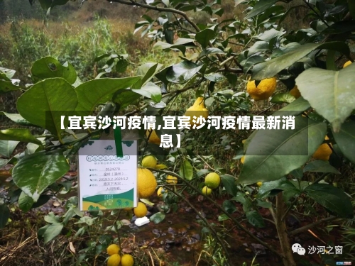 【宜宾沙河疫情,宜宾沙河疫情最新消息】-第2张图片