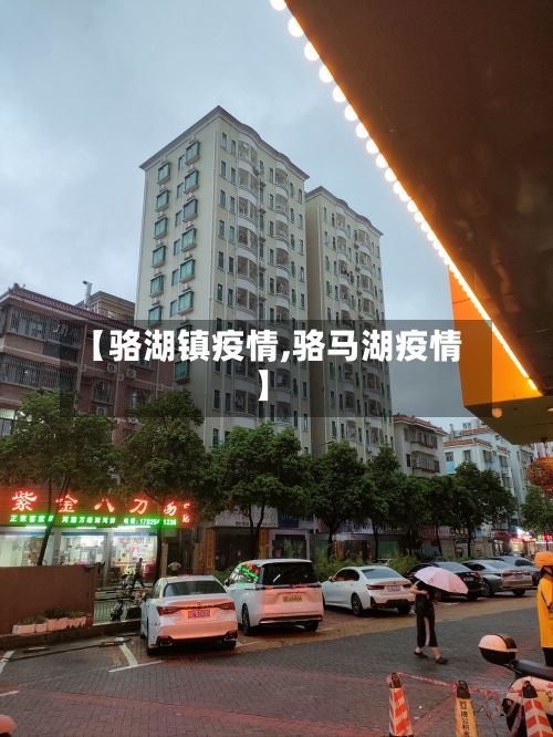 【骆湖镇疫情,骆马湖疫情】